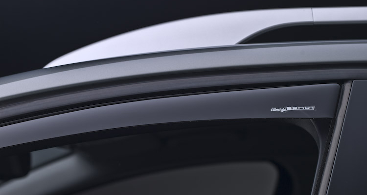 Windabweiser eingebaut